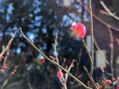 -香山公园