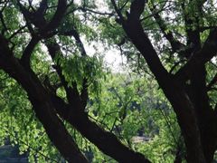 -贵阳市花溪国家城市湿地公园