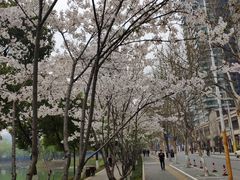 -西北湖绿化广场