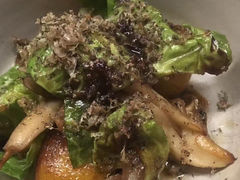 -State Bird Provisions