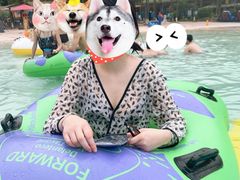 -重庆海昌加勒比海水世界