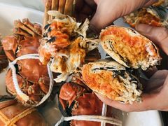 -品鲜村农家菜·阳澄湖大闸蟹(总店)