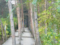 -帽儿山国家森林公园