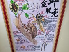 -上海昆虫博物馆