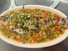 飞虹鱼-飞虹鱼馆(春华路店)