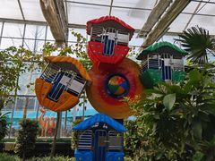 -南宫五洲植物乐园