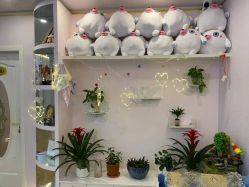 -时尚妈咪产后修复中心