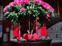 -咖啡苑自助餐厅·中国大饭店