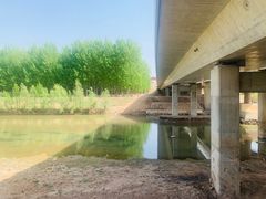 -潇河湿地公园