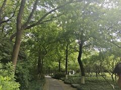 -杭州植物园