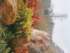 -白水带风景区体育公园