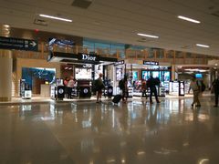 -达拉斯 沃斯堡国际机场