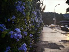 -西南政法大学(沙坪坝校区)