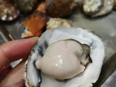 -海岛渔村大酒店(云霄路店)