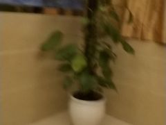 -御亭宫·SPA.按摩足疗头疗养生馆