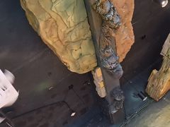 -恰八斗·猛火长沙菜(国贸店)