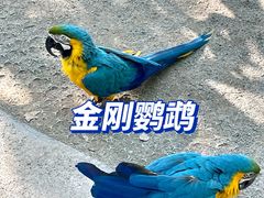 -上海野生动物园