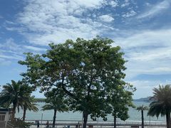 -旺富东海大酒楼(海鲜街店)