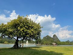 -南宁花花大世界景区