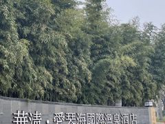 -西安国际创新人才交流中心•药浴温泉