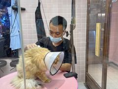 -FAELING PETS美天灵宠物(富力广场店)