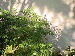 -江宁织造博物馆