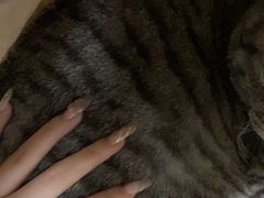 -小叮当动物医院·骨科·眼科