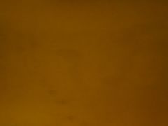 -黄金水汇·美食(春风路店)