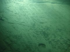-白鹤梁水下博物馆
