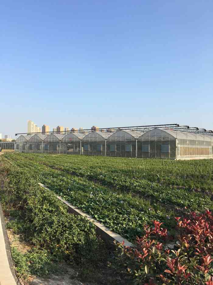 杭州兰里景区-"兰里景区有1202 和1229m公车可以."-大众点评移动版