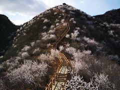 -大岭沟猕猴桃谷风景区