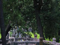 -孔府