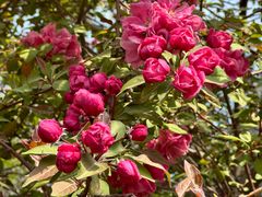 -元大都城垣遗址公园