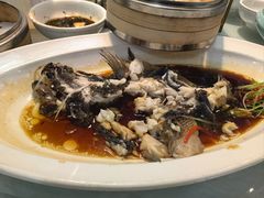 -聚鑫阁·非遗传承江浙菜(正阳店)
