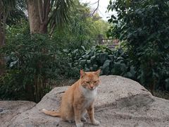 -晓港公园