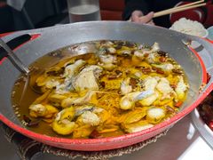 -雲蜀龙阁·金牌水煮鱼(方庄店)