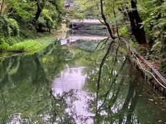 -青果巷历史文化街区