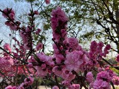 -玲珑塔公园