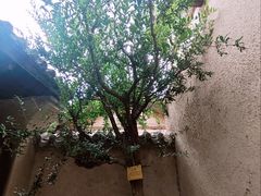 -胡氏古民居建筑