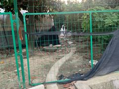 -呼吸森林·生态农庄农家乐私房菜