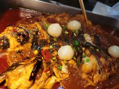 -鱼酷活鱼烤鱼(中联广场店)