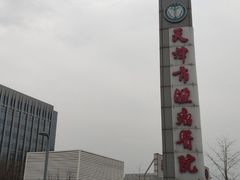 -天津医科大学肿瘤医院(本部院区)