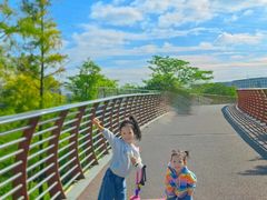 -王借岗森林公园