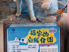 -上海崇明金茂凯悦酒店