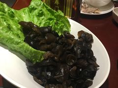 -鼎尊锅物料理(五角场店)