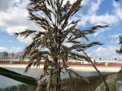 -水上乐园·欢乐世界