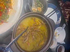-凤凰湘语(浦东旗舰店)