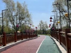 -羊亭河湿地公园