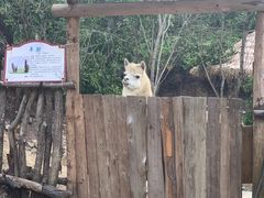 -汕尾铜鼎山旅游区