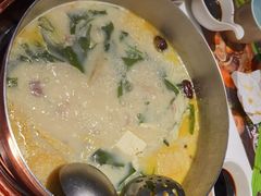 竹荪菌猪肚鸡锅-洪氏嗨捞·猪肚鸡火锅(阳光天地店)